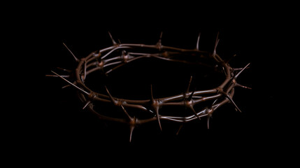 Fototapeta premium Thorny crown of thorns on dark background.