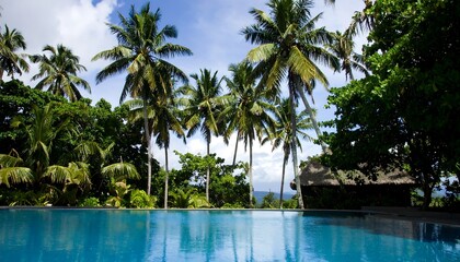 Tropical pool view with lush palms