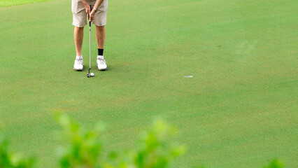 Golfer putting golf ball on the green golf,