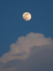Fototapeta premium The Moon with cloud