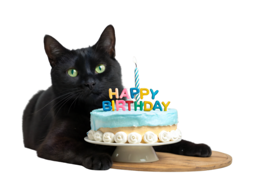 Black cat with birthday cake and candle isolated on white background - Powered by Adobe