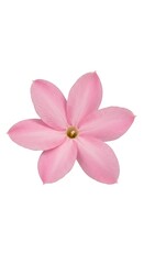 Obraz premium Pink Petals' Embrace