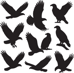 Black eagles flying perched silhouette