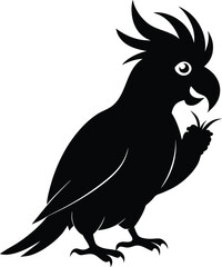 Fototapeta premium Black silhouette of a cockatoo parrot holding food on white background bird black and white