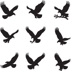 Obraz premium Black silhouettes of eagles in flight and perched bird