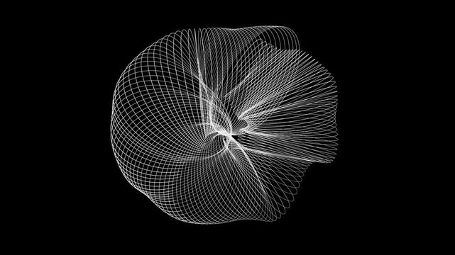 White spline mesh twists and transforms into a dynamic volumetric structure on black background. Great for tech, digital art, and abstract motion design.