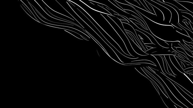 Energetic black-and-white spline mesh with sharp tension and elegant curves. Great for modern motion graphics, tech visuals, and creative audio-reactive design