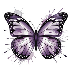 Obraz premium An elegant purple butterfly captured with beautiful white detailed wings showcasing a delicate artistic watercolor illustration style