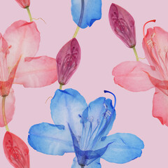 Floral seamless pattern. Rhododendron. Floral motifs for use in wallpaper, covers, packaging. For textiles, cotton fabrics, linen. For use in wallpaper, wrappings. Interior decor. Raster illustration.
