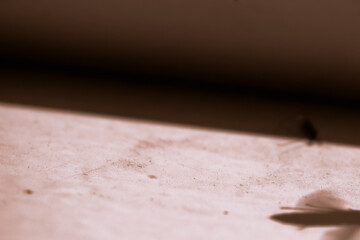 bicolor background, shadow and highlighted area