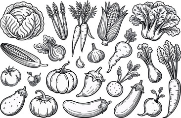  a collection of various vegetables rendered in a detailed black and white sketch 
