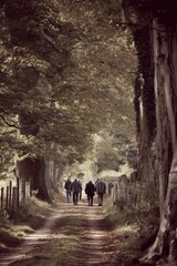 A group strolling down a shaded country lane The sound of footsteps mixes with bird songs The mood feels slow and mindful, Generative AI 