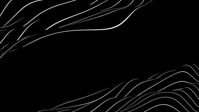 Smooth spline lines create a diagonal visual frame from top and bottom corners. Clean motion on black background &mdash; modern, minimal and elegant for branding and digital use.