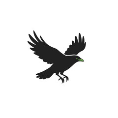 Obraz premium A soaring raven silhouette against the backdrop.