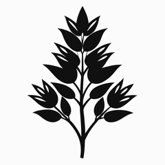 xylobium bractescens silhouette-on-white