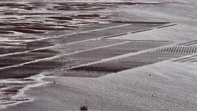 Whitstable Oyster Farm aerial view, tranquil and vast coastal scene