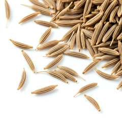 Dried Cumin Seeds on White Background