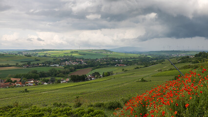 Blick vom Zellertal zum Donnersberg
