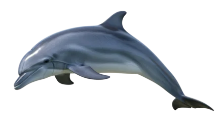 Fotobehang Dolfijn Isolated Dolphin  © Natalia
