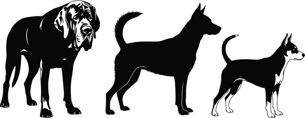 Three dog silhouettes in side profile, breed comparison, canine body types, size variation, posture study, pet theme, vector animal design