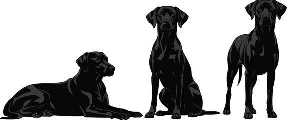 Three black dogs in varied postures, realistic illustration style, canine behavior, lying, sitting, standing, detailed fur, pet animal artwork