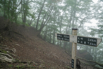 埼玉県_両神山_白井差登山道