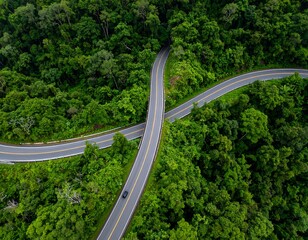 Fototapeta premium Winding road through lush green forest (1)