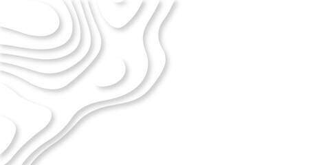 Abstract Luxury diamond creative topography map background vector natural shadow papercut web topography map spiral line. white light dynamic smooth cover origami papercut texture background.	

