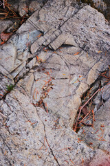 Colorful rocks