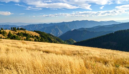 Golden Meadow With Rolling Blue Mountains Under a Cloudy Sky.