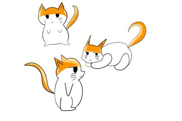 4 Cat Illustrations