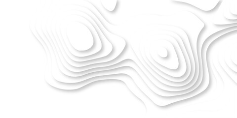 Abstract Luxury diamond creative topography map background. vector natural shadow papercut web topography map spiral line white light dynamic smooth cover origami papercut texture.
