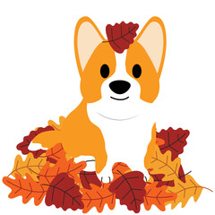 Corgi Dog Sitting in Pile of Autumn Leaves