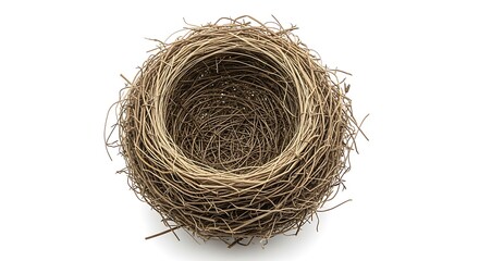 A detailed view of a natural bird s nest constructed from twigs and plant fibers on a white background