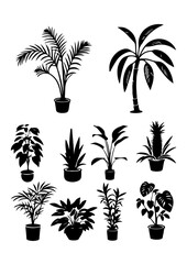 Obraz premium Silhouettes of Various Potted Houseplants