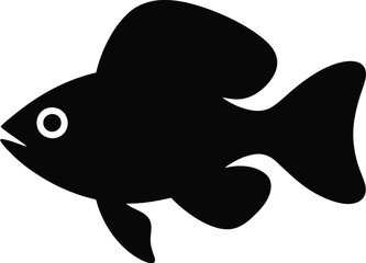 Fototapeta premium Black fish with white eye aquatic