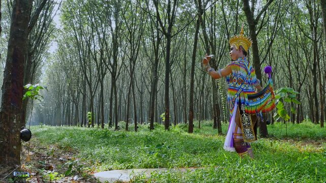 Among endless rows of rubber trees, the Manora dance unfolds like a living poem. The cool shade of the plantation offers a peaceful setting where the dancer practices, her movements harmonizing