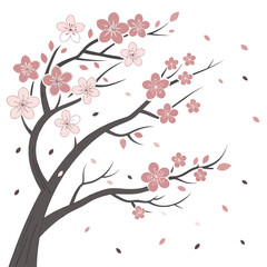 Vector art of cherry blossom flower branch tree spring floral bloom sakura pink nature plant season petal beauty drawing