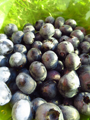 Blueberries on a light green background. Blueberry harvest at the cottage