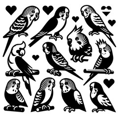 A collection of black and white birds including budgies and cockatiels with heart designs around them