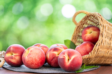 Fresh peach drop from bamboo basket on blurred greenery background, Peach fruit in Bamboo basket on wooden table in garden.