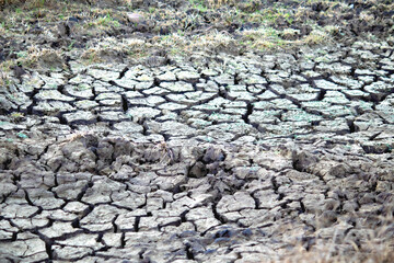Dried and cracked soil. Thirst, drought concept. Effects of global warming. Drying wetlands....