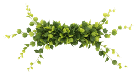 Isolated Greenery Swag