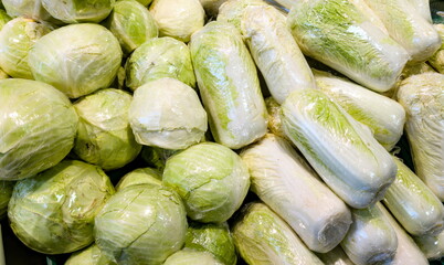 Fresh produce display featuring various types of cabbage and bok choy at a market in the early morning hours