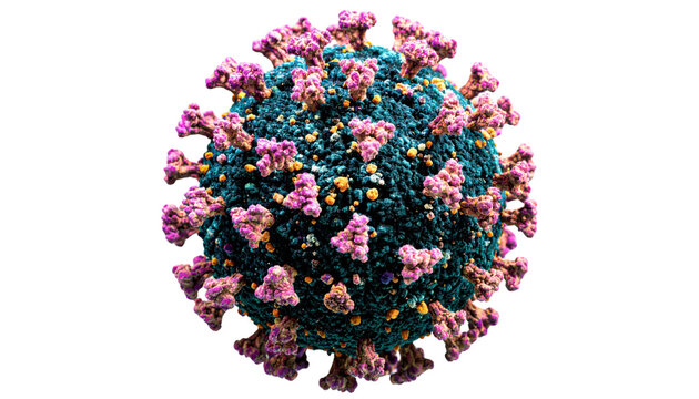 3D-rendered SARS-CoV-2 virus particle with a textured spherical core covered in purple spike proteins and scattered yellow surface features.