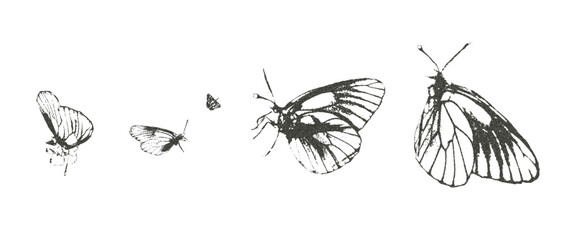 Butterfly photocopy retro effect set. Insects y2k grain elements. Stippling collage shapes isolated on transparent background. Vector magazine noisy illustration.