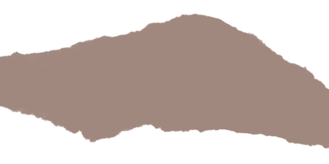 A simple abstract image showing a large brown shape against a black background in a minimalist style