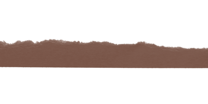 A brown irregular shape against a black background creating a simple abstract composition in the image