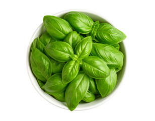 Fototapeta premium Bowl of basil leaves, from above, square. Isolated on Transparent or White Background