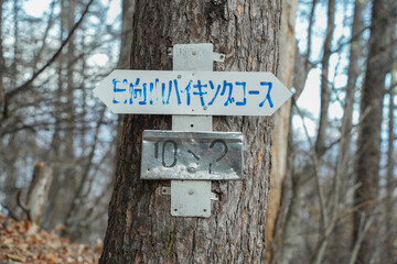 山梨県_日向山